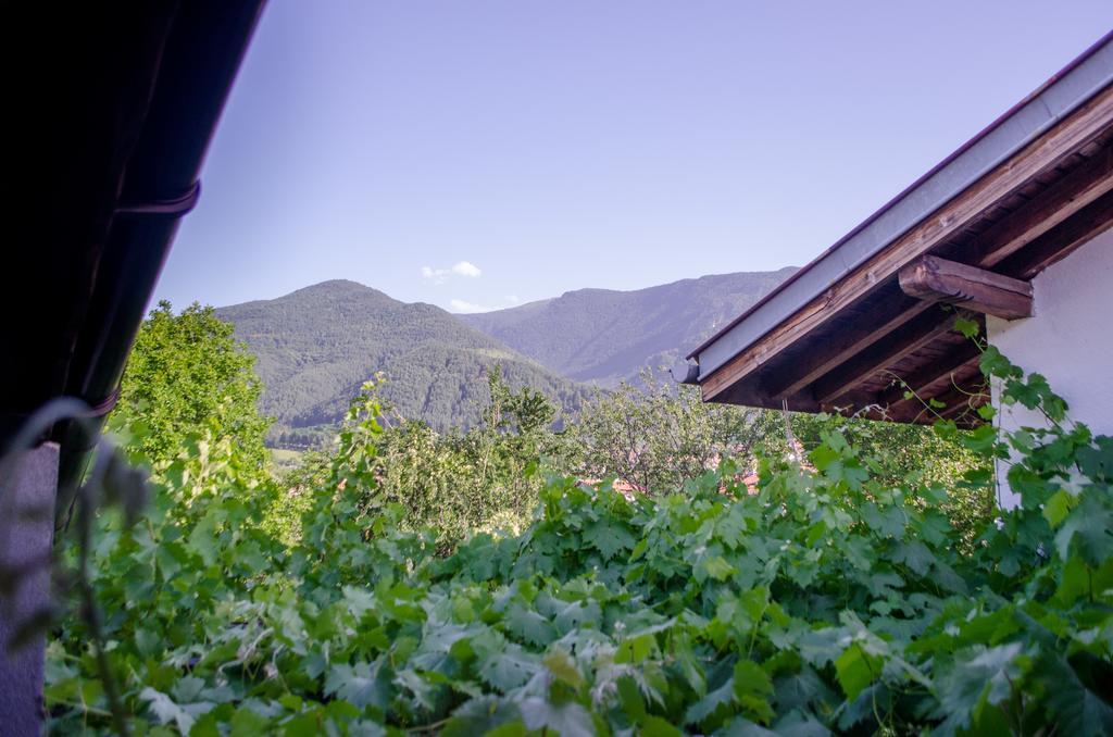 Guesthouse Juli Sapareva Banya Exterior foto